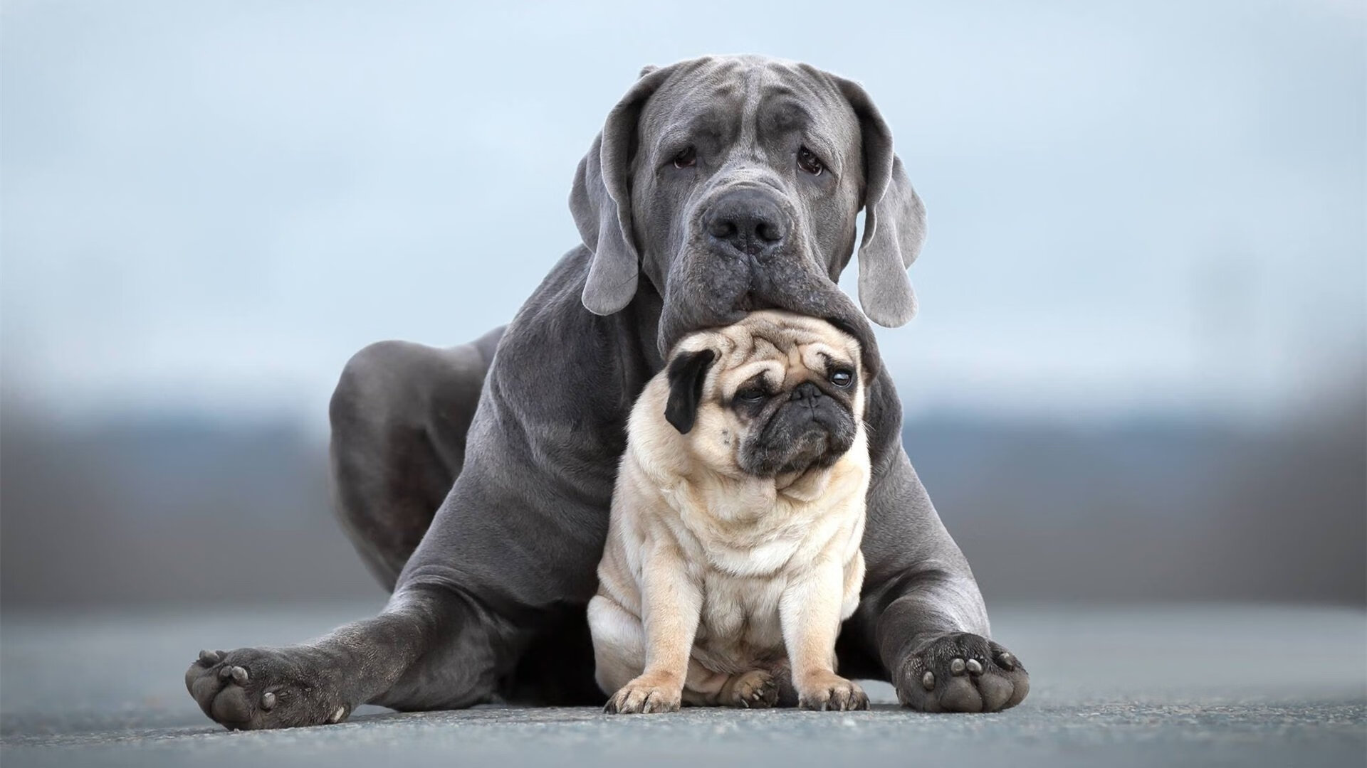 -_快船迎来强劲对手，誓夺胜利争先_，快船队比赛视频