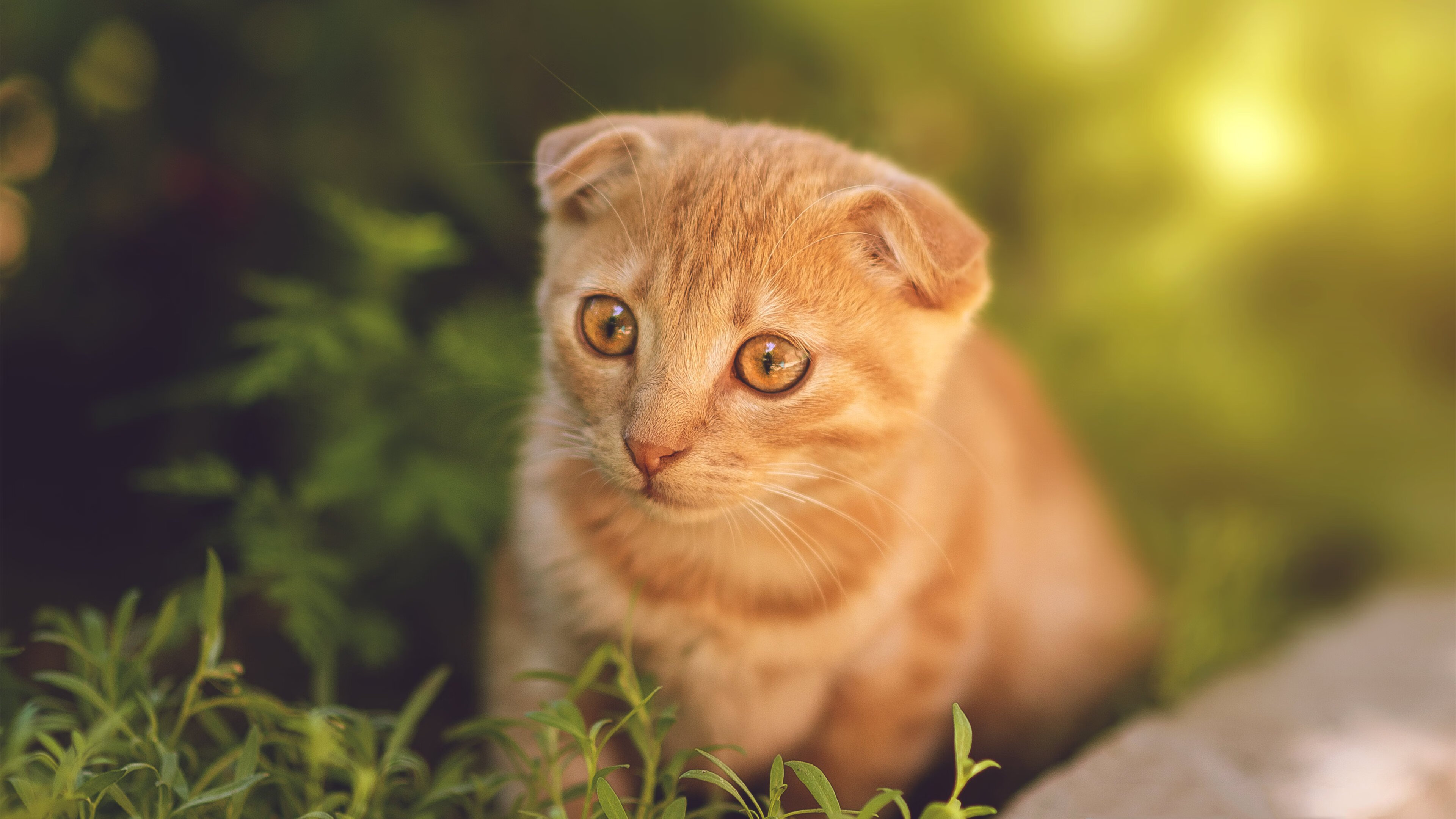 爱游戏体育官方网站-_热火防守稳如磐石，不给对手任何机会_，热火战术体系