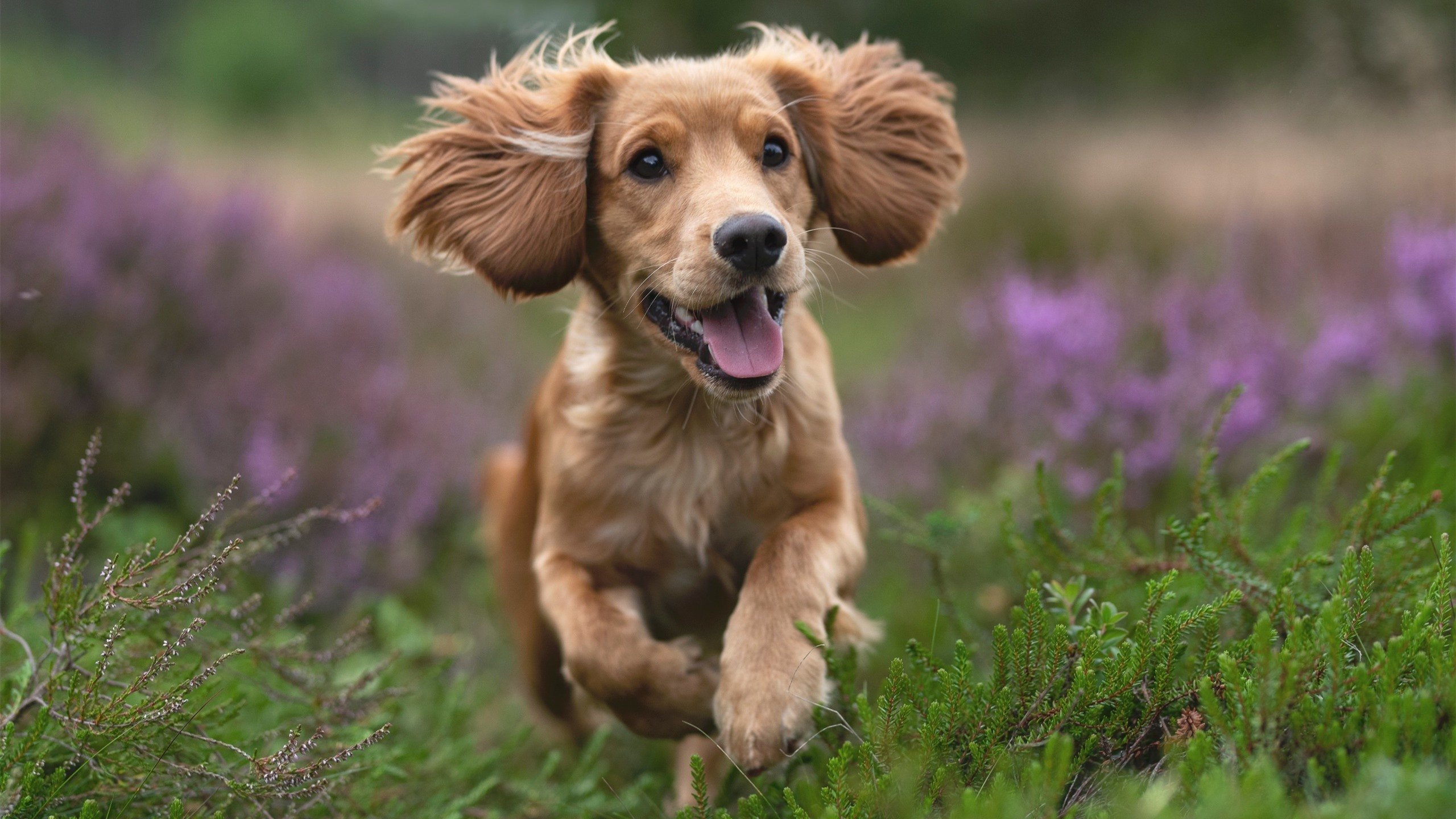 _马拉松式网球赛:长时间耐力大比拼_,马拉松wa