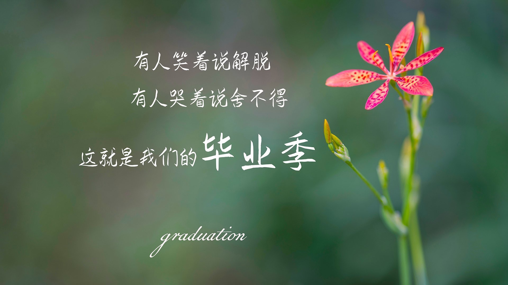 爱游戏平台-墨西哥队在巴黎奥运会比赛中展现出强大的远射能力，奥运墨西哥巴西