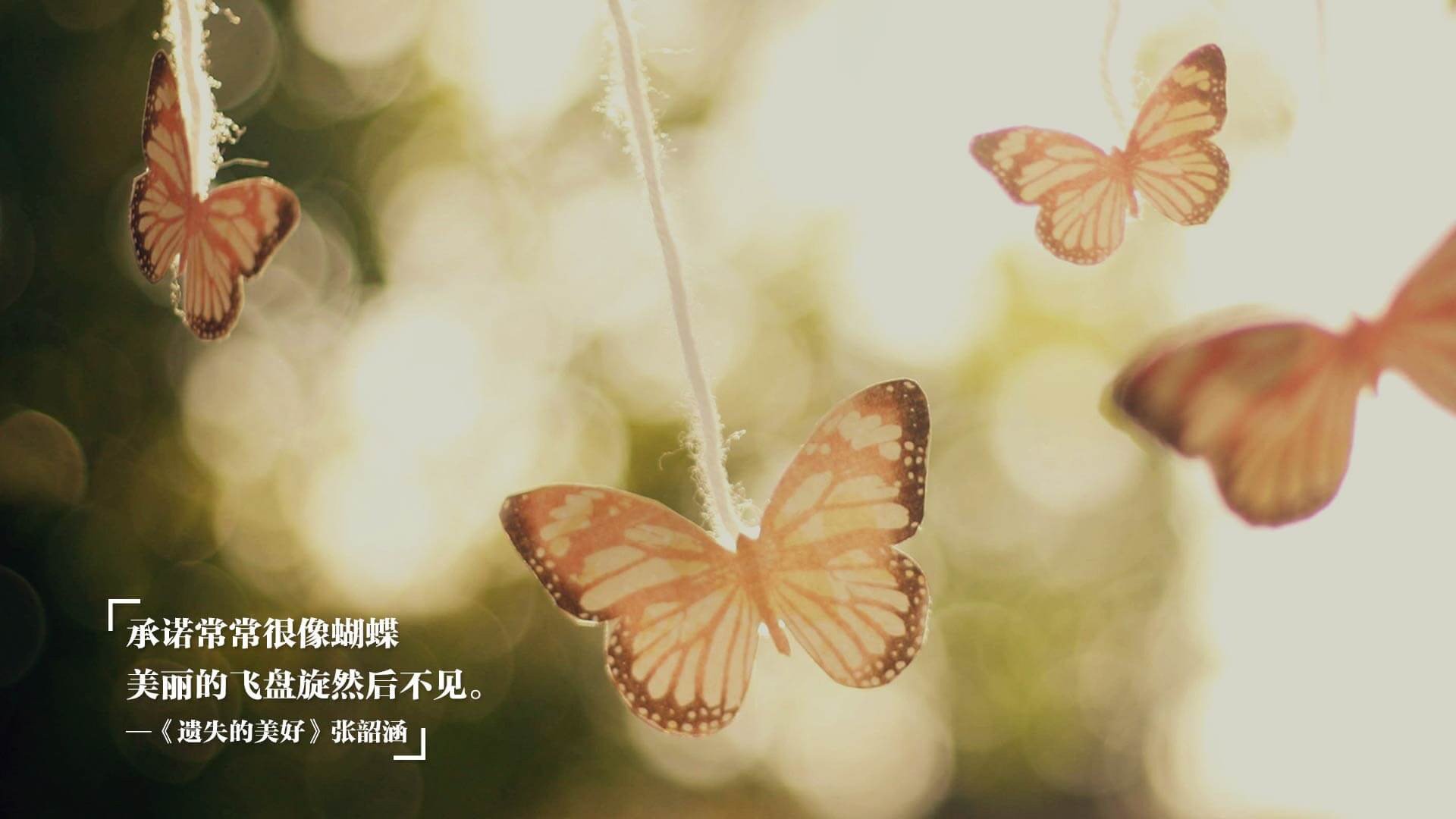 纽卡斯尔1-0击败布莱顿,伊萨克头球制胜,纽卡斯尔 球员