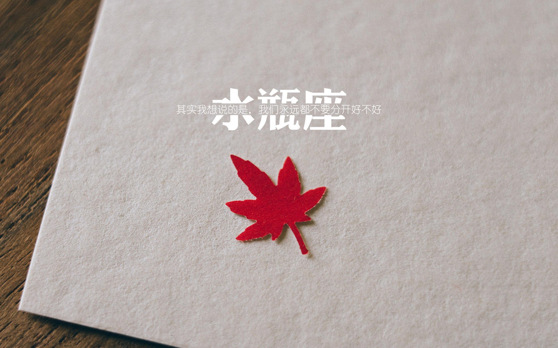 女足世界杯数据分析专家点评，女足世界杯水平