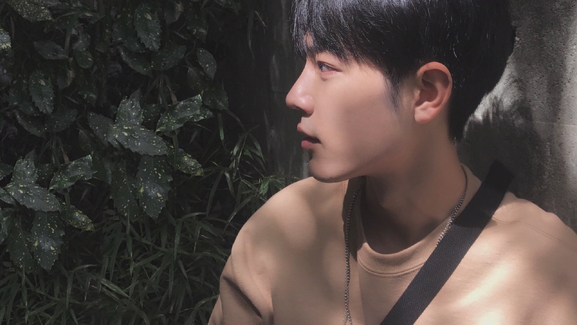 爱游戏下载-揭秘体操备赛周期与伤病控制机制，体操常规比赛顺序