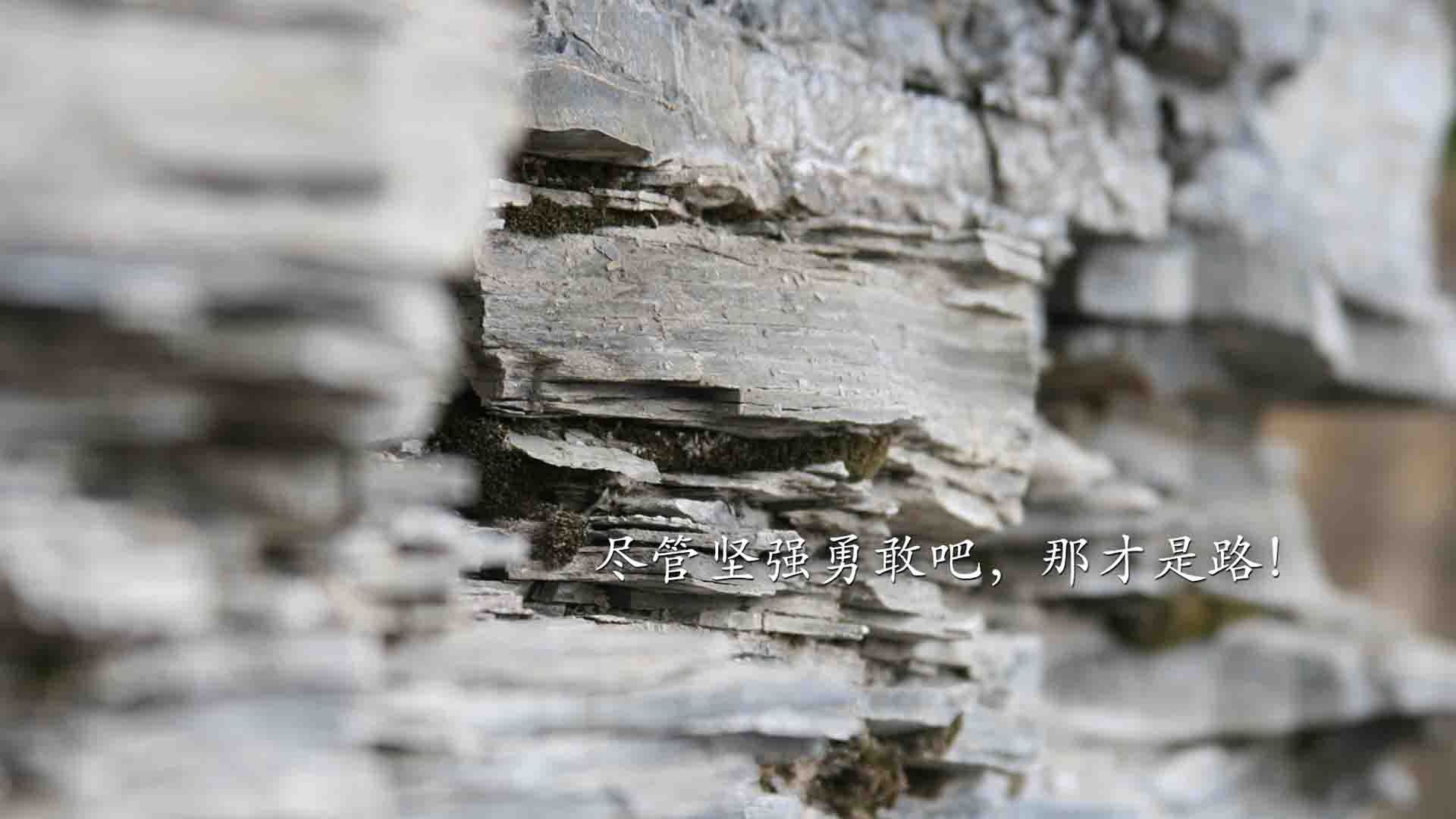 独行侠力克掘金,抢七大战中东契奇带伤作战,独行侠续约东契奇