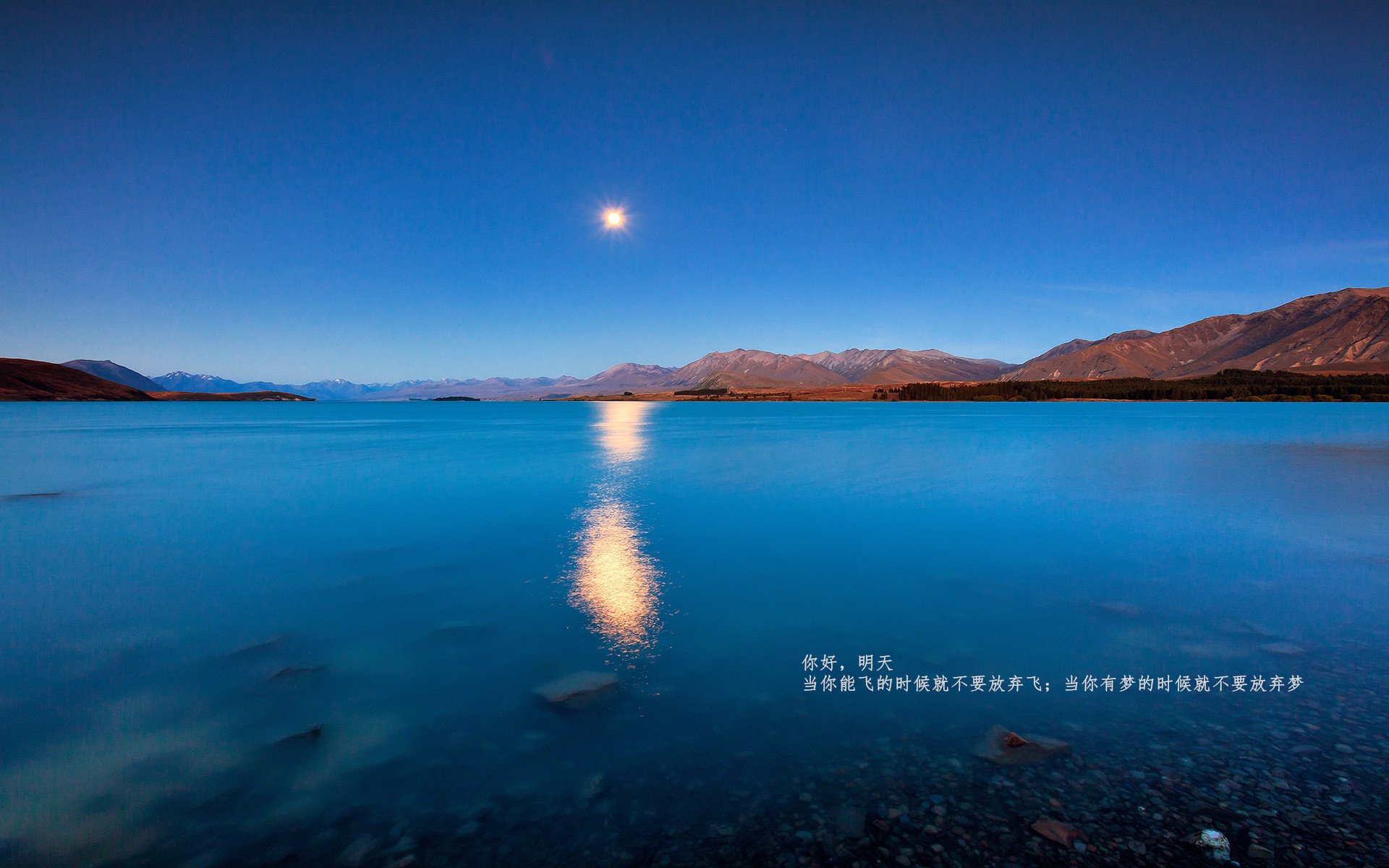 王牌队新赛季目标锁定总冠军，王牌队队徽