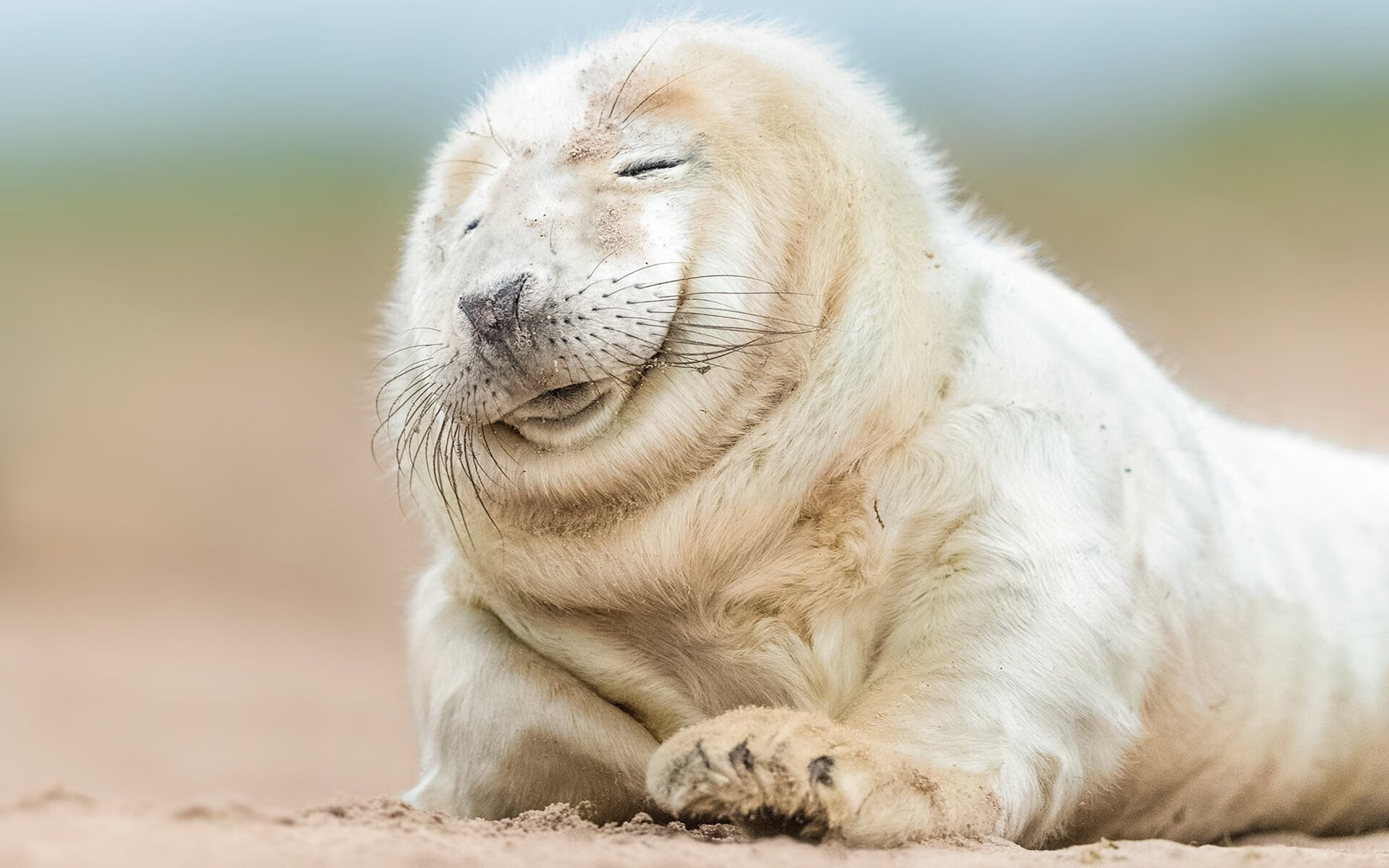 王者荣耀战队举办职业素养提升讲座,王者荣耀职业比赛队伍