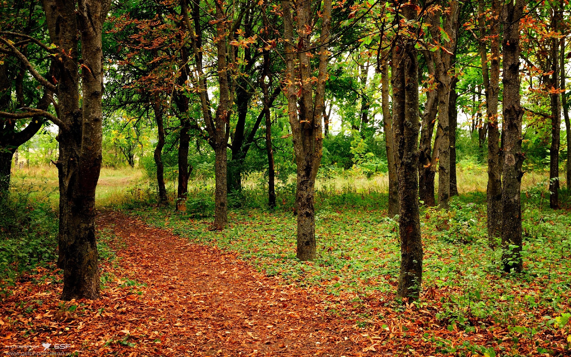 爱游戏体育官方网站-综合射击亚洲杯赛事全战绩，亚洲射击锦标赛女子冠军