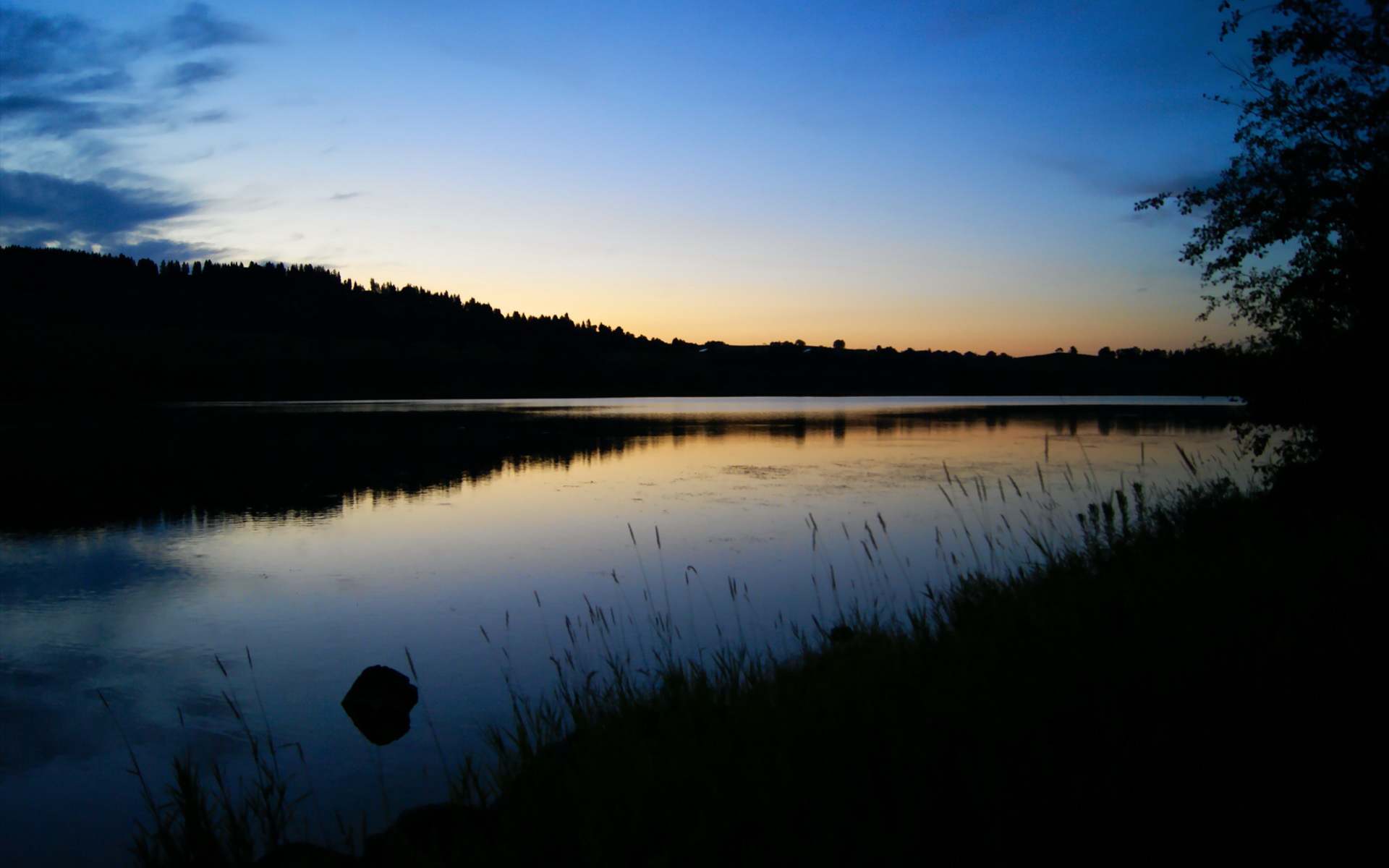 缅因凯尔特人核心球员伤愈回归,缅因凯米尔色好不好