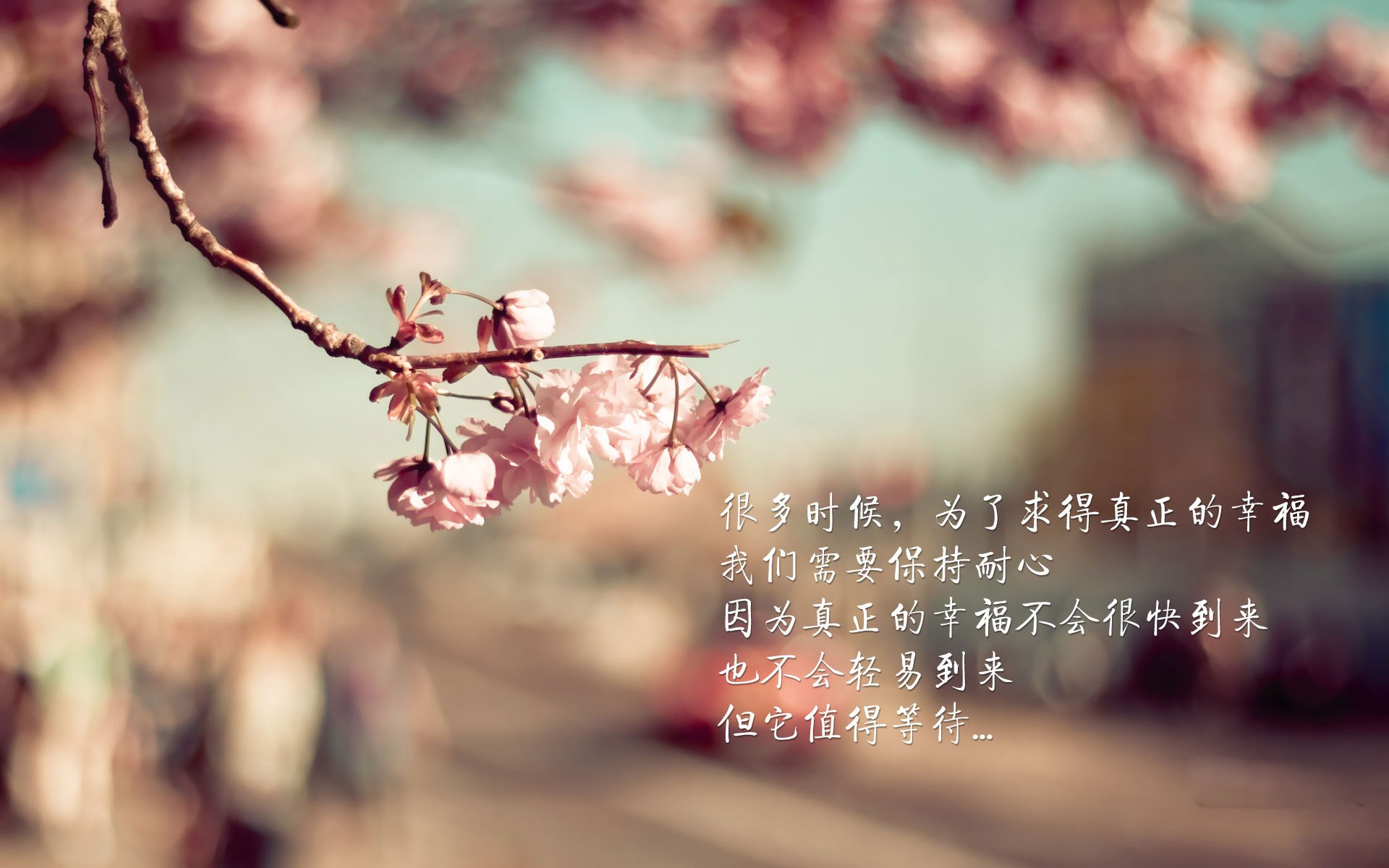 AYX GAMING-锦标赛上，一支球队夺魁，成为最耀眼的明星，锦标赛第一名是什么运动员