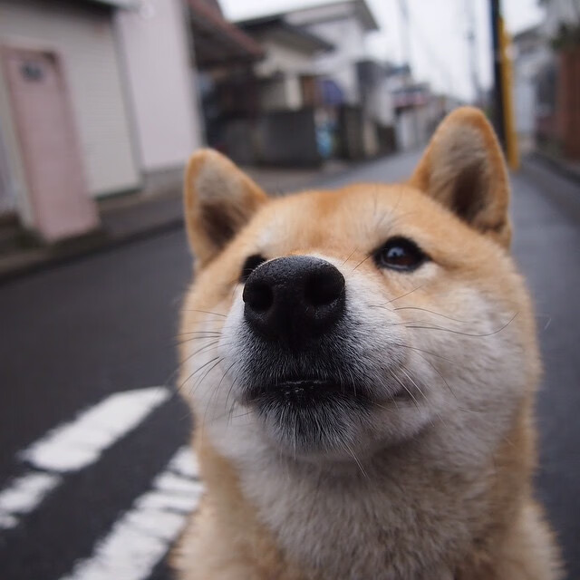 青训球员进入一线队的比例是否过低,青训人数