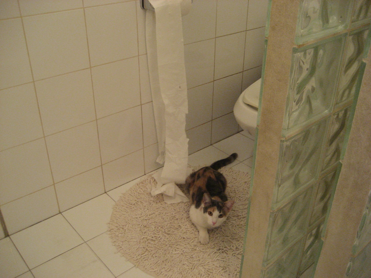 NBA球员赛季领导力培养，nba领袖人物