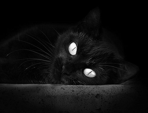 世界空手道锦标赛中国队再获佳绩,2020世界空手道联盟比赛规则