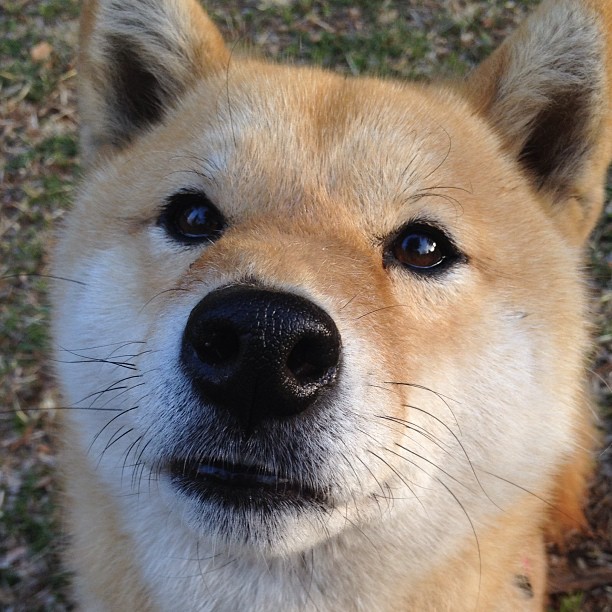 中国篮球职业俱乐部财务风险控制方法，篮球俱乐部资金来源