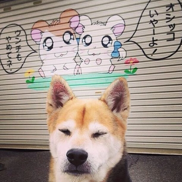 中国篮球职业俱乐部财务风险控制方法，篮球俱乐部资金来源