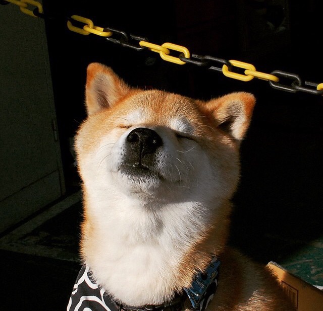 中国篮球职业俱乐部财务风险控制方法，篮球俱乐部资金来源