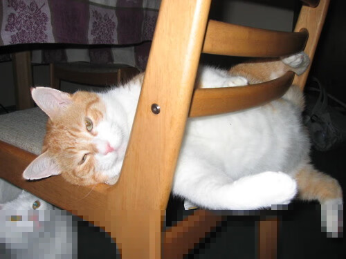 中国篮球运动员竞技心理调节策略，篮球运动中需要的心理技能