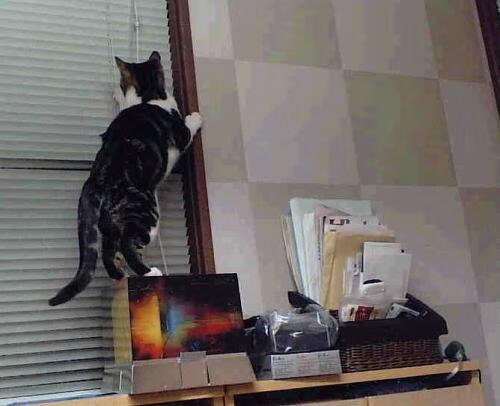 中超裁判员职业化路径迟缓,中超裁判工资多少钱