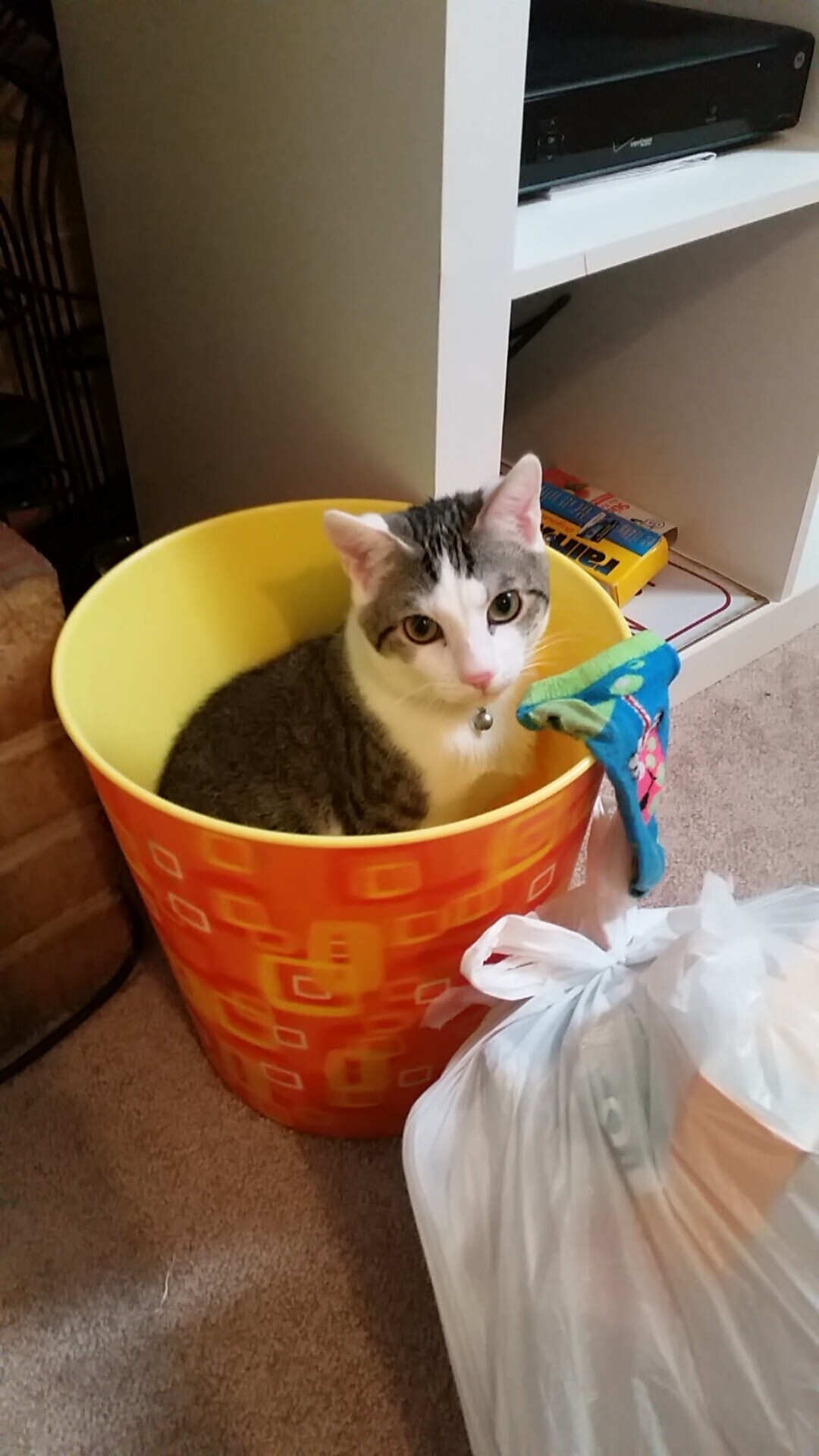 体育明星社交平台影响力数据发布,搜索体育明星