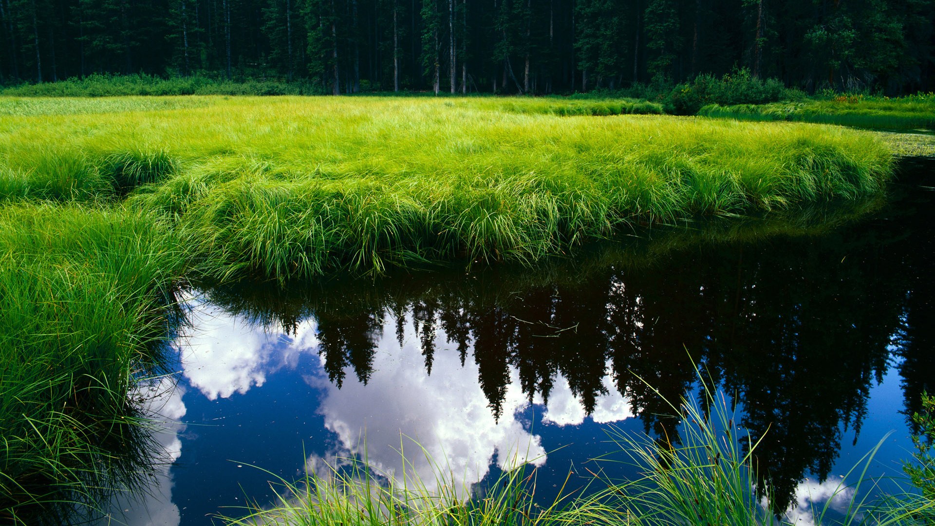 博卡未来或转型为快速反击型球队,博卡怎么样