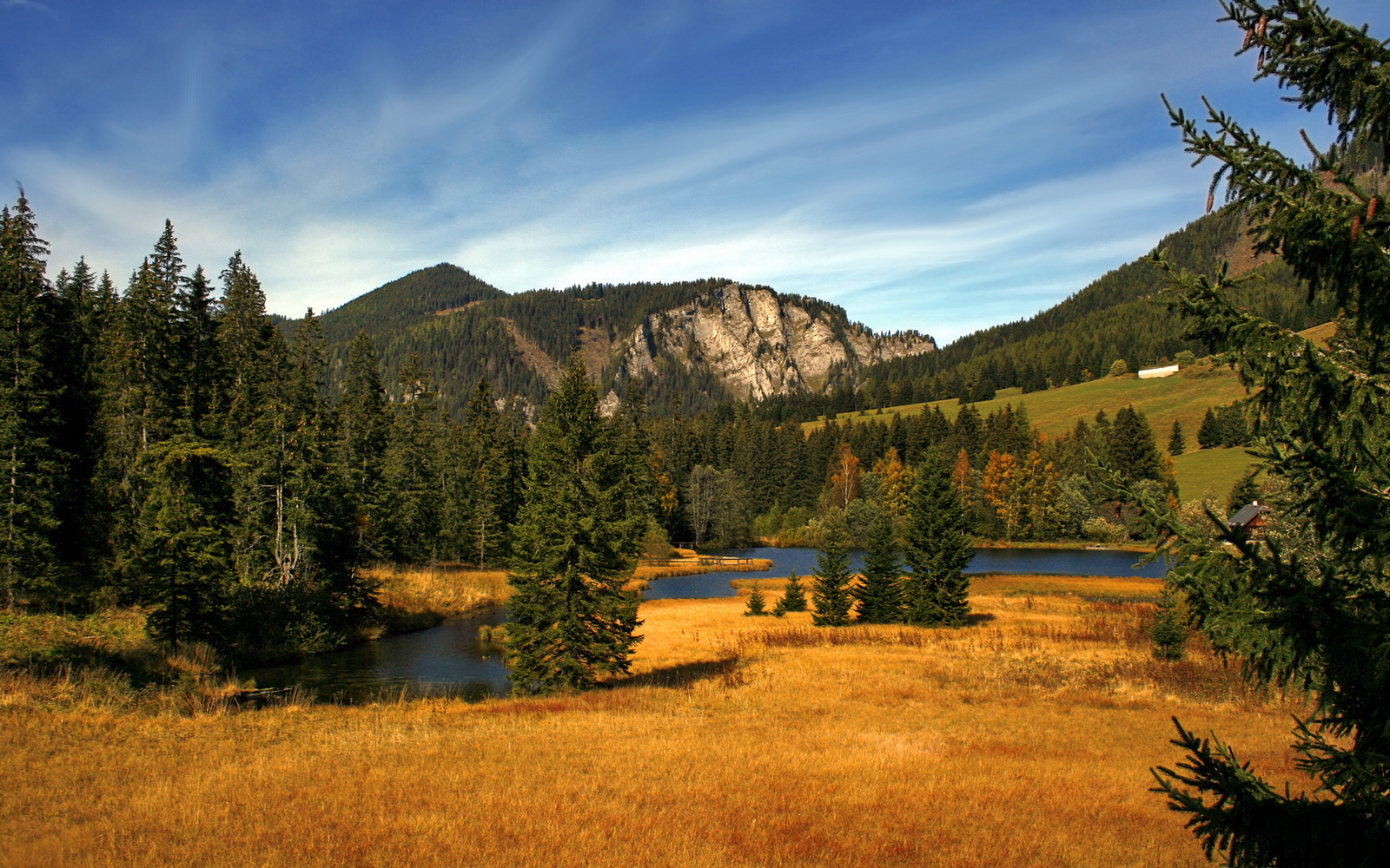 博卡未来或转型为快速反击型球队,博卡怎么样