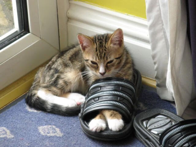 AYX官网-英超惊天反转：从落后到胜利的完美逆袭，英超最大逆转夺冠