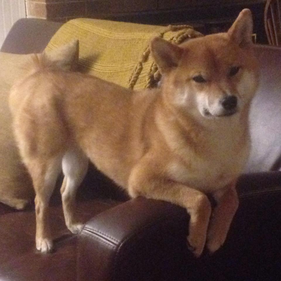 英超激情场面：翻盘、绝杀不断上演，英超qg