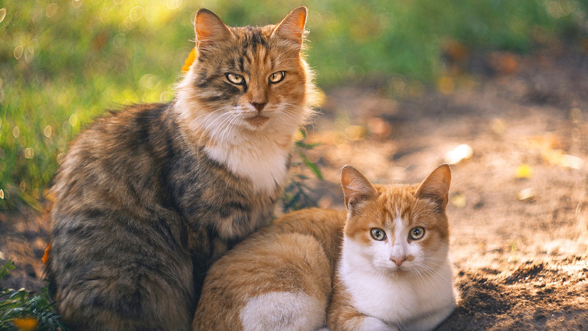 西甲巅峰之战:攻守大戏精彩纷呈,西甲冠军之争
